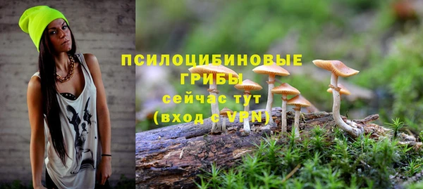 MDMA Новодвинск