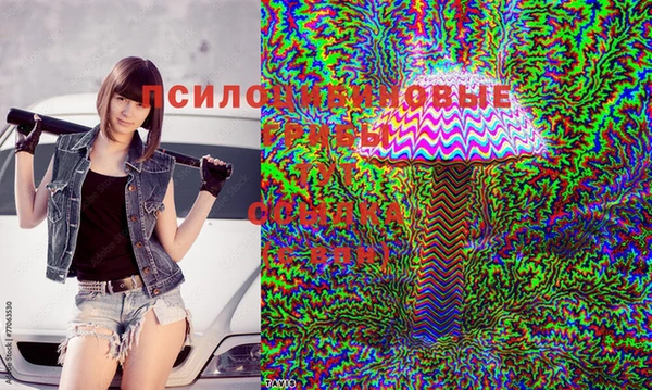 MDMA Новодвинск