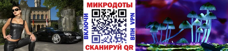 Галлюциногенные грибы прущие грибы  Инза 